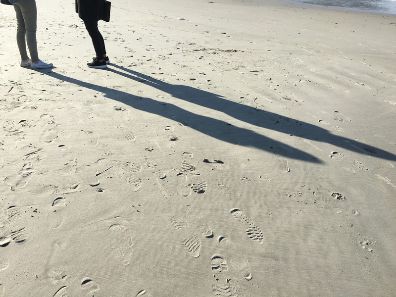 low section, people, outdoors, relax, unrecognizable person, shadow, Spring, real people, Sun, ducks, leisure activity, galicia, sunlight, land, Beach