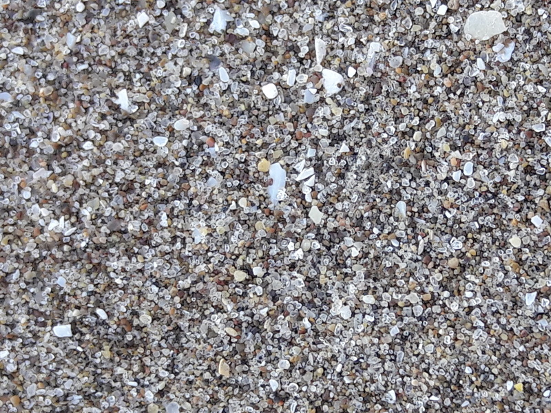 abundance, close-up, land, shell, high angle view, textured, pebble, villa gesell, sand, directly above, rough, arena, day, beach, rock, outdoors, animal