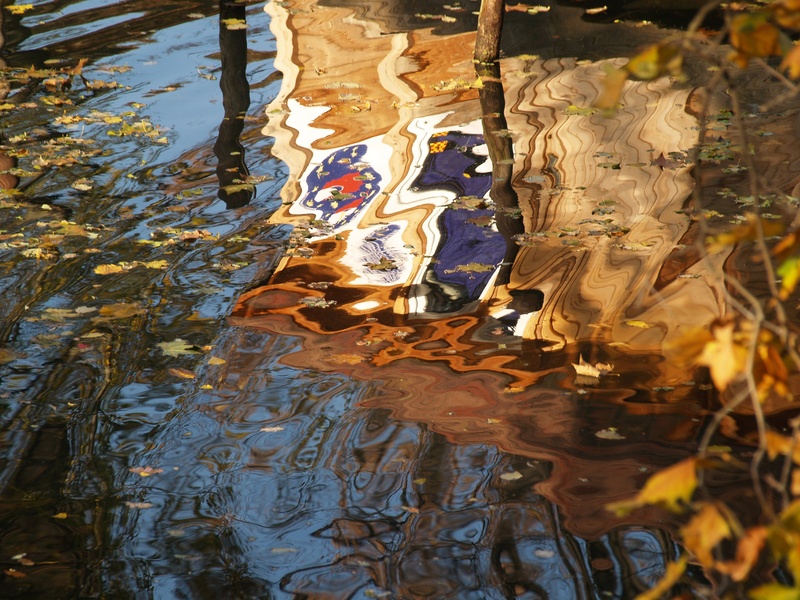 leaf, leaves, close-up, no people, tranquility, color, change, water, lake, outdoors, transparent, rippled, shallow, nature, reflection, wet, 2K, day