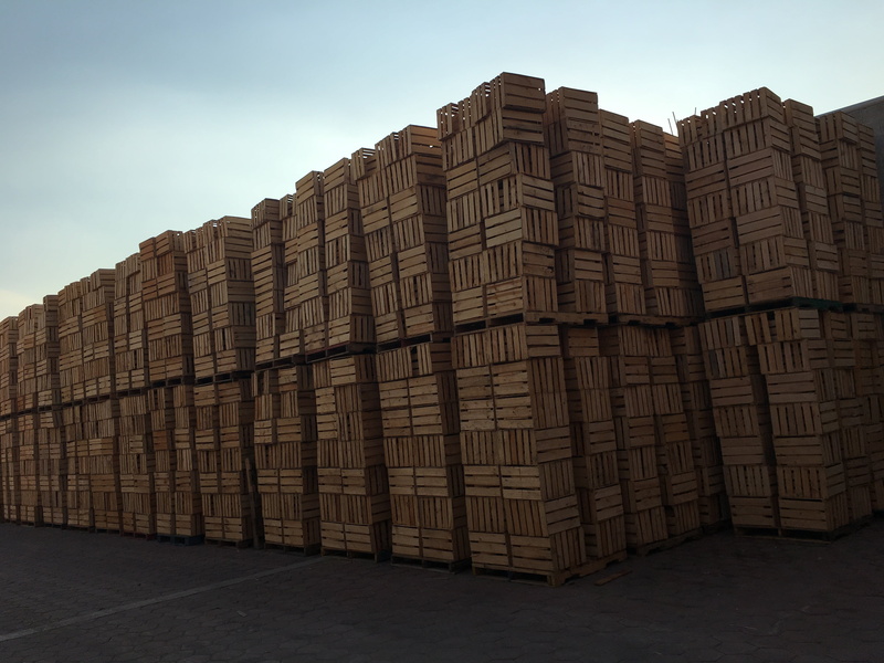 building exterior, nature, warehouse, industry, container, 4K, transportation, sunlight, built structure, low angle view, city, building, madera, stack