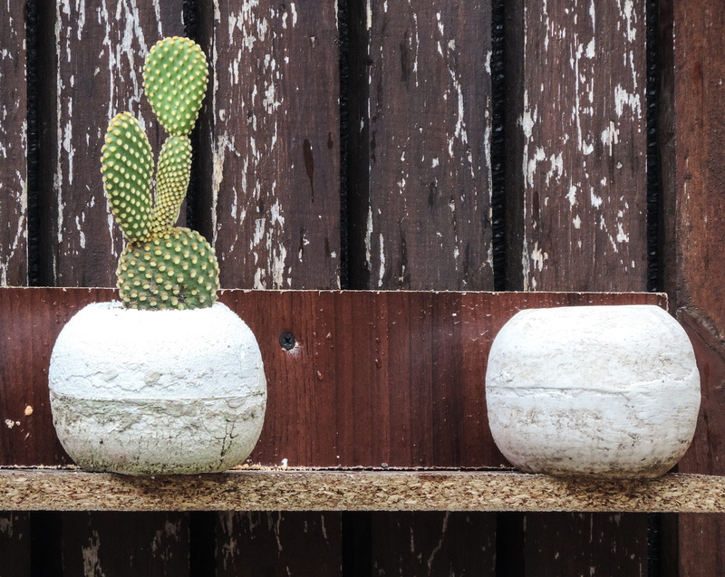 day, art and craft, black bear, pattern, dessert, wedding cake, cast, 4K, green color, maceta, close-up, pot, planta, cactus, nature, representation, creativity
