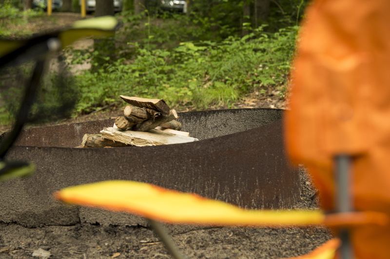 nature, one animal, madera, cat, acampando, logs, sunlight, bonfire, domestic, vertebrate, united states, day, camping, covert, ringpit, outdoors, forest