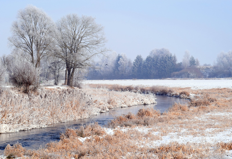 winter, bavaria, grass, river, ice, scenics - nature, non-urban scene, tree, beauty in nature, kahl, tranquil scene, wintry, beautiful, cold, environment