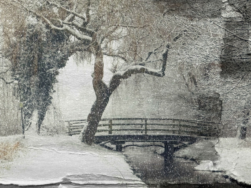 mood, covered, romantic, black And White, creative, winter, bridge, trunk, day, bare tree, kahl, cold temperature, beauty in nature, tree trunk, tree, branch