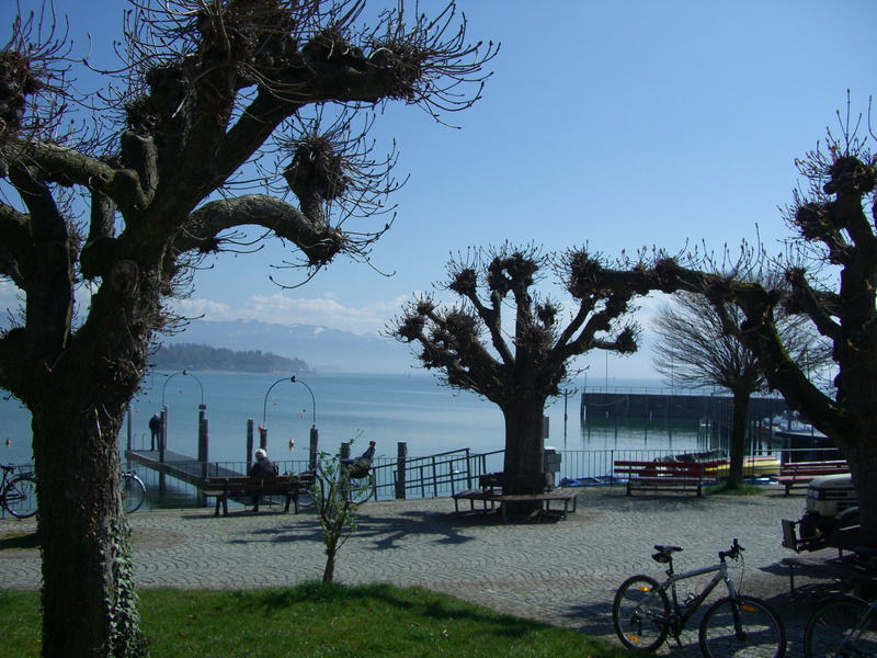beach, plane trees, tree trunk, day, beschnitten, nature, branch, friedrichshafen, beauty in nature, lake constance, land vehicle, incidental people, outdoors