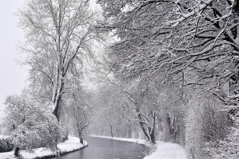 scenics - nature, blizzard, allotments, tree, plant, 5K, day, cold temperature, tranquil scene, frozen, trees, bach, bare tree, flow, no people, covered
