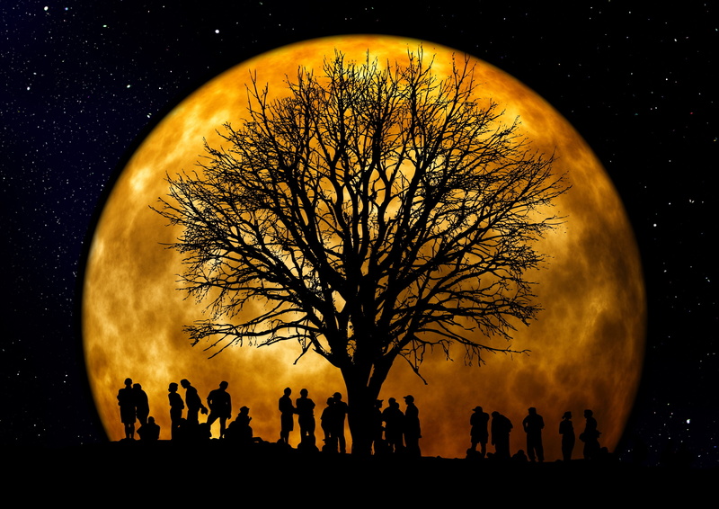 crowd, bare tree, beauty in nature, atmosphere, mood, human, background, bare, orange color, space, moon, evening, 2K, silhouette, moonlight, kahl, gold