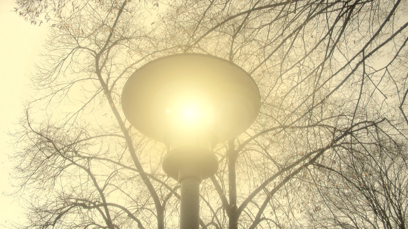 light, outdoors, branches, aesthetic, kahl, bare tree, plant, Yellow, 2K, hell, no people, Lamp, tree, sphere, lighting equipment, circle, street light