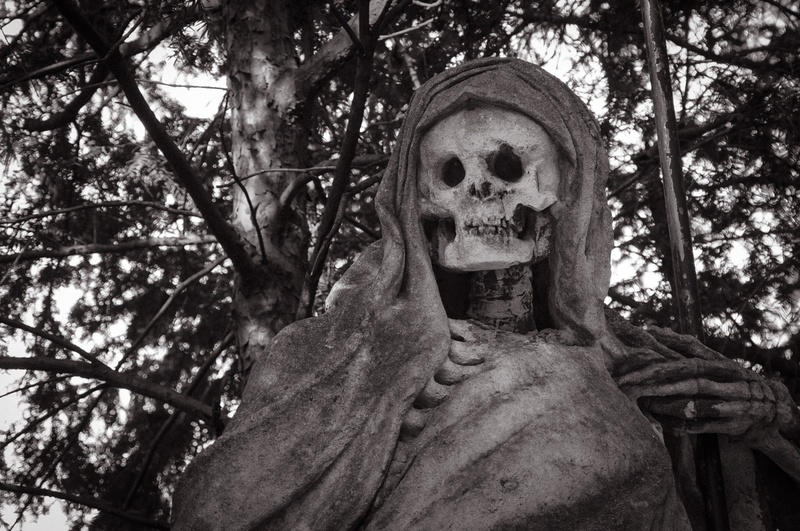 nightmare, art and craft, growth, representation, grave, cemetery, plant, human representation, nature, tree trunk, dead, day, spooky, skeleton, no people