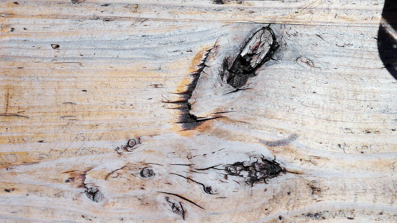 creativity, close, plant, pattern, no people, weathered, backgrounds, wood - Material, tree, brown, tree trunk, outdoors, wood, bad condition, textured