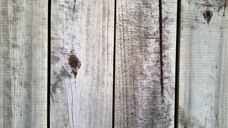 wooden, backgrounds, no people, outdoors, door, entrance, metal, brown, old, animal, wood texture, wood grain, 5K, gray, full frame, texture, wood, fence