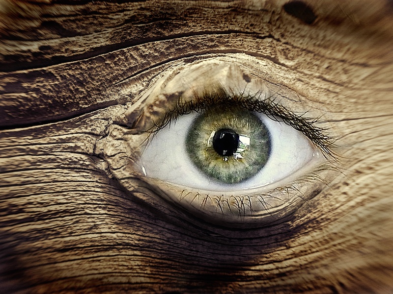 wooden structure, view, wood eye, body part, wood grain, human face, looking at camera, eyeball, eyebrow, log, eyesight, backgrounds, photo, close, full frame