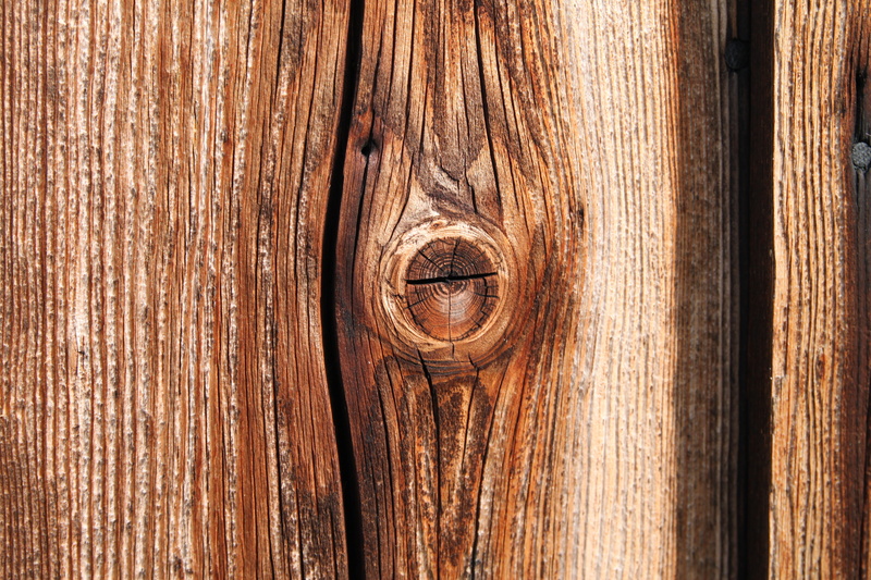 plank, Log, eye, background, Wood, knotted wood, entrance, no people, animal, one animal, full frame, Tree, 4K, pattern, animal themes, door, Knothole