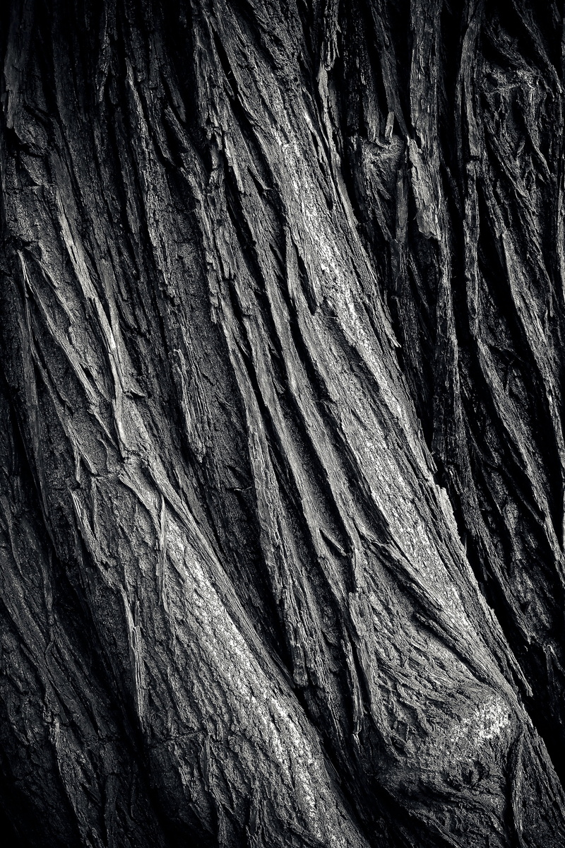 black, no people, old, day, outdoors, weathering, textured effect, wood, rock - object, textured, sandstone, rock, black white, shades of brown, bark, white