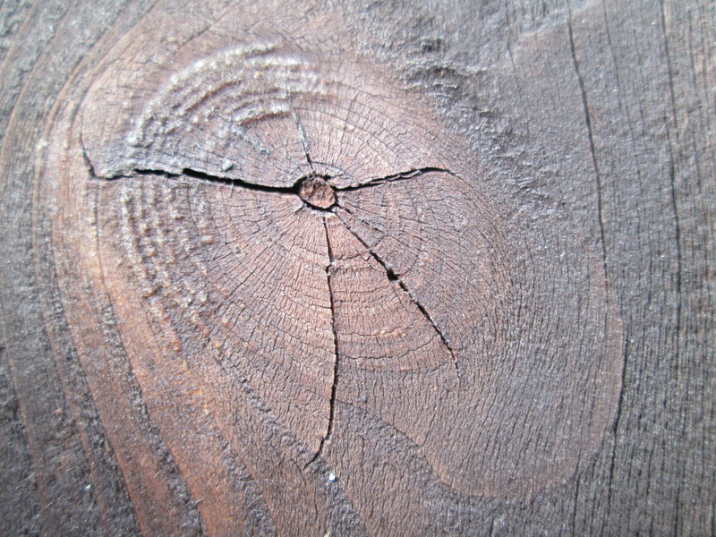 board, concentric, brown, close-up, craft, no people, tree stump, wood grain, full frame, old, textured, tree trunk, wood, 4K, outdoors, knothole, stained