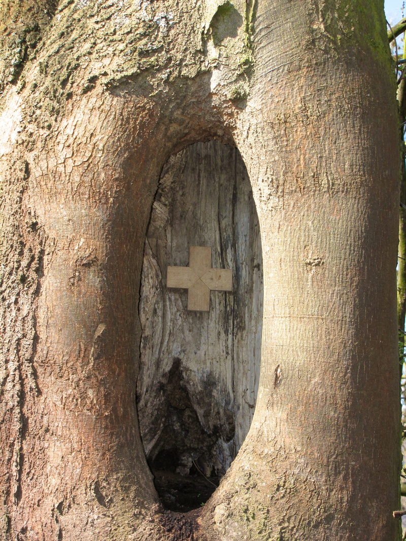 2K, shape, no people, textured, trunk, faith, geometric shape, sunlight, tree trunk, scar, wood - material, nature, rough, christian, knothole, day, close