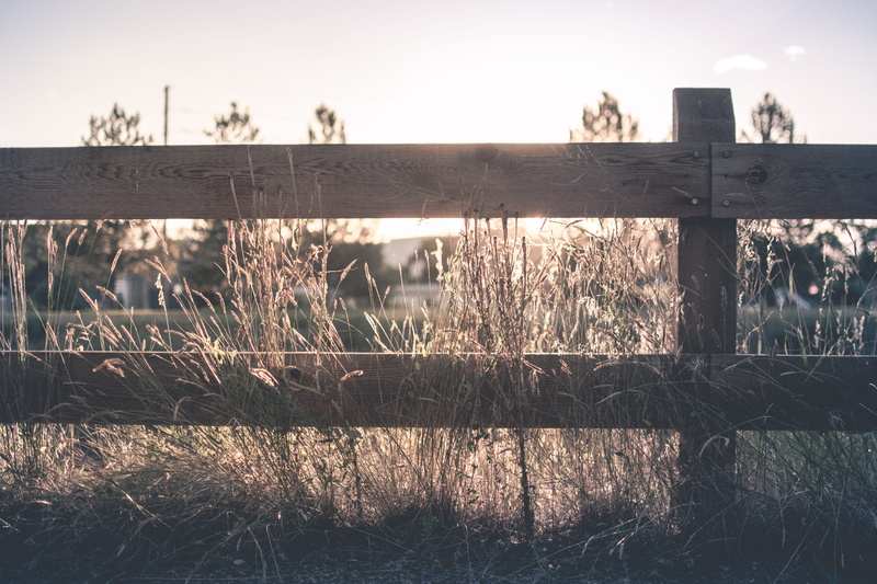 outdoors, evening, golden hour, field, wood - material, brown, knothole, sky, protection, fence, no people, near, sun, sunrise, nail, nature, water, 4K