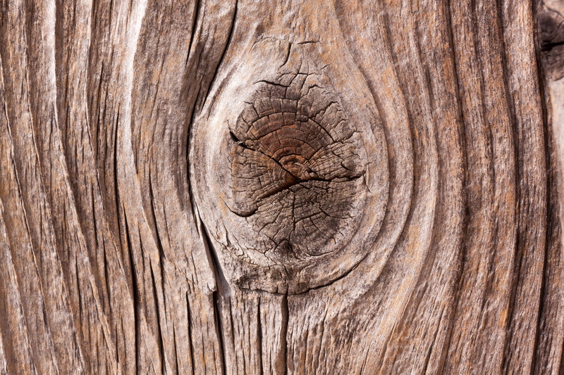 goal, timber, trunk, barn, nature, tree trunk, 4K, closeup, wood - material, wood, wood grain, weathered, fund, scale, brown, tree, textured, wooden, board