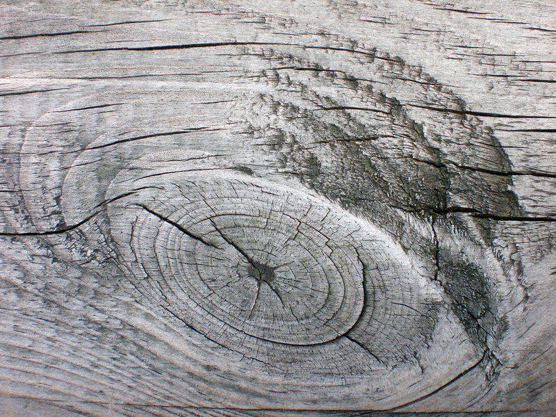 old, tree stump, wood, abstract, shape, timber, plank, nature, cracked, backgrounds, tree ring, board, close-up, 2K, wood grain, no people, pattern, full frame