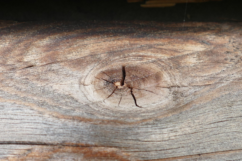 weathered, trunk, tree trunk, bark, tree ring, plant, backgrounds, high angle view, full frame, wood, knothole, structure, outdoors, pattern, tree, brown