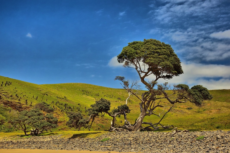 beauty in nature, grass, blue sky, land, no people, leafed, non-urban scene, mountain, green, green color, cloud - sky, hole in the wall, field, tree, scenics - nature