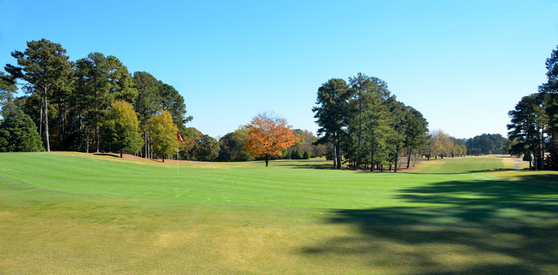 fairway, golfer, plant, golf course, sport, green color, green - golf course, nature, leisure activity, landscape, tree, course, 4K, beauty in nature