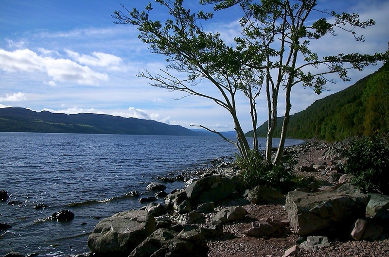 plant, lake, loch ness, scenics - nature, tree, tranquility, green, sea, land, no people, leafed, sky, rocky coastline, beside, outdoors, hole, scotland