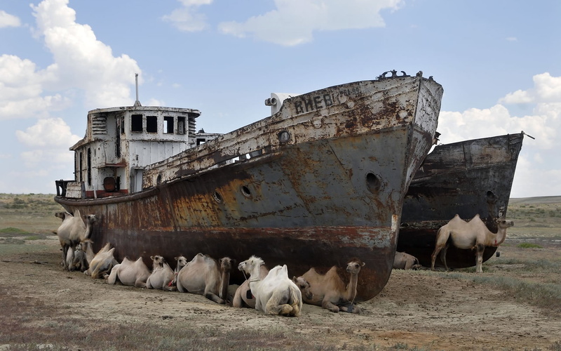 camels, 1080P, ship, vehicle, wreck