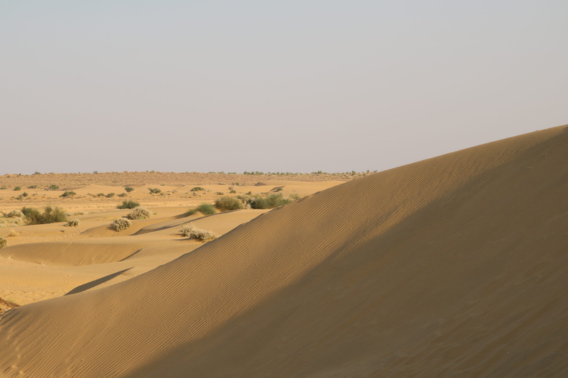 vaction, climate, samsanddunes, remote, waves, copy space, beautiful, india, symmetrical, atmospheric, desert, sanddunes, evening, rajasthan, landscape