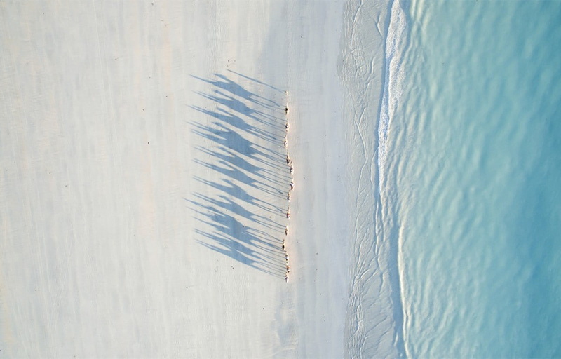 camels, 480P, Australia, drone, Todd Kennedy