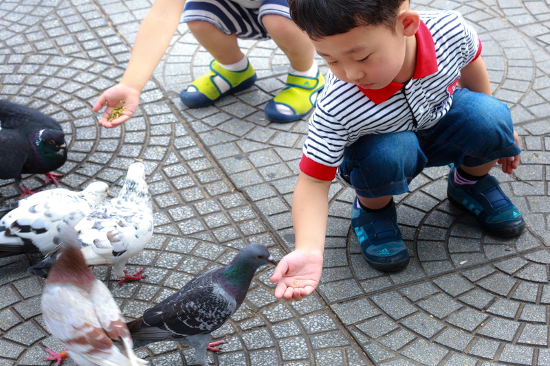 dove, west, sank, less, real people, young, mother, males, natural, fly, life, girl, playing, footpath, child, 4K, day, cute, outdoors, innocence, people