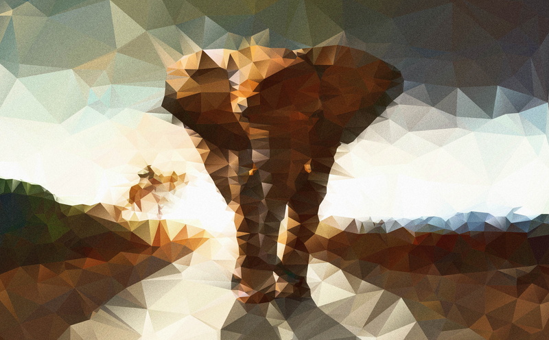 women, men, hd, elephant, focus on shadow, illustration, art, digital composite, clip, multiple exposure, Artistic, creativity, polygon, shadow