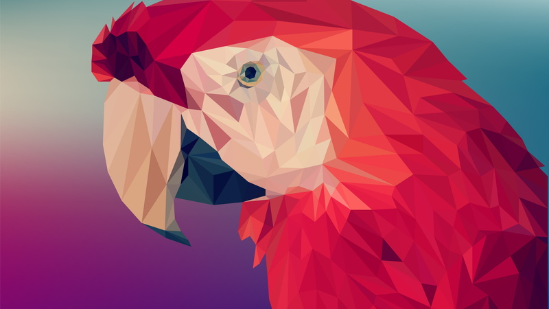 4K, 5K, Polygon, 6K, Digital Art, Parrot