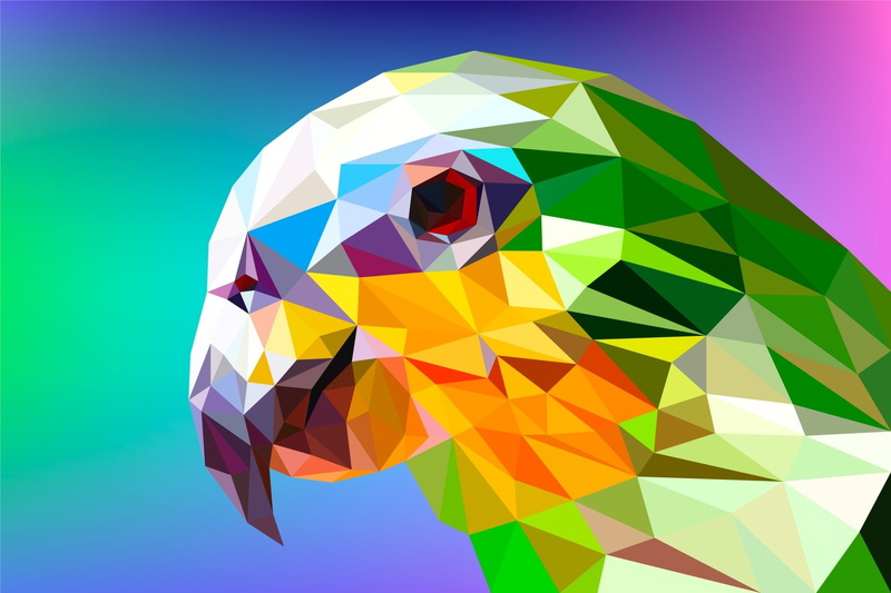 Digital Art, Bird, Parrot, 1080P, Abstract, Facets, Low Poly, Polygon