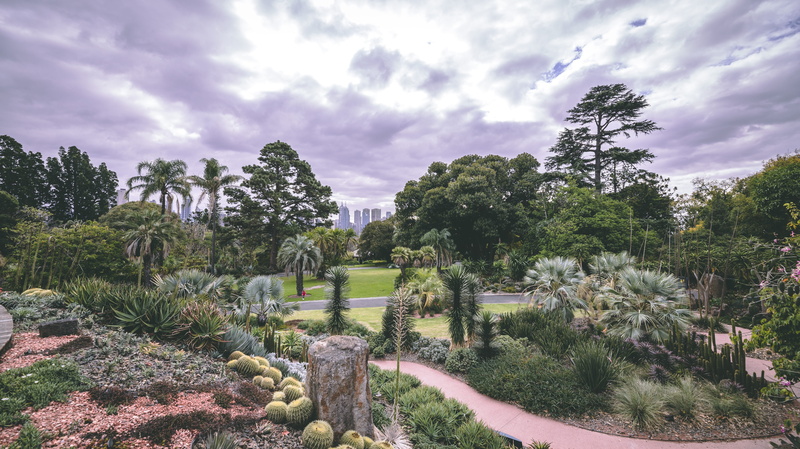 outdoors, tranquil scene, landscape, trees, walk, tree, green color, plant, cloud - sky, photo, park - man made space, go, scenics - nature, 1 fairlie ct