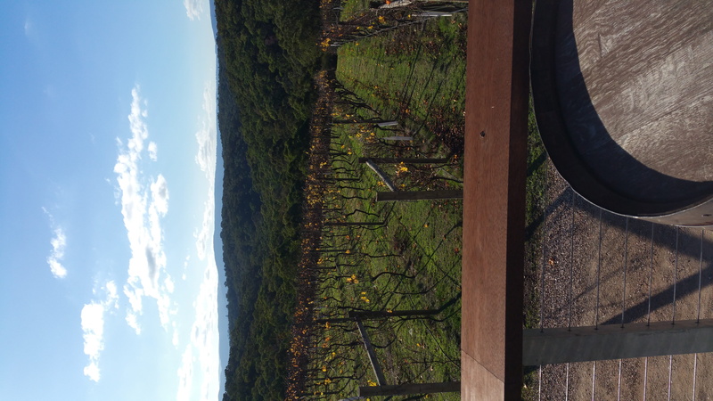 view, scenics - nature, tree, sky, outdoors, cloud - sky, winery, vineyard, 5K, sunlight, land, nature, grass, yarra valley, water, plant, field, australia