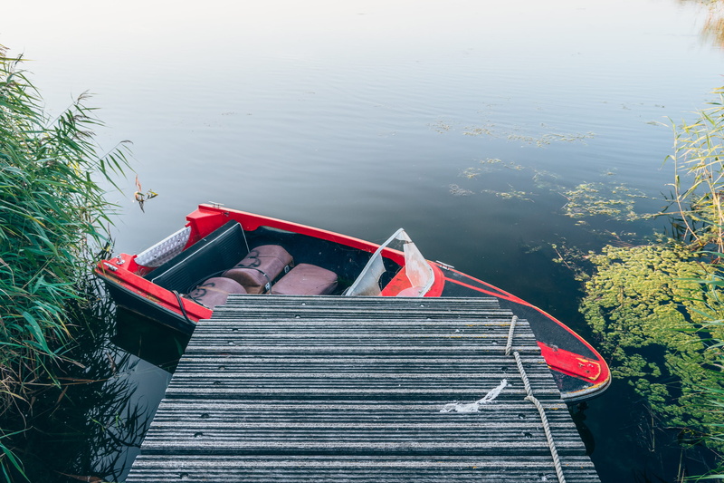 quiet, high angle view, tree, boat, forgotten, bay, moored, evening, day, solemn, plants, mode of transportation, plant, lake, tranquility, wood - material