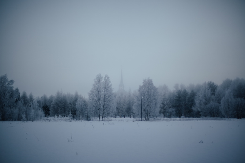 tranquil scene, scenics - nature, scenics, sky, coniferous tree, cold temperature, winter, coated, fog, non-urban scene, pine woodland, landscape, snowing