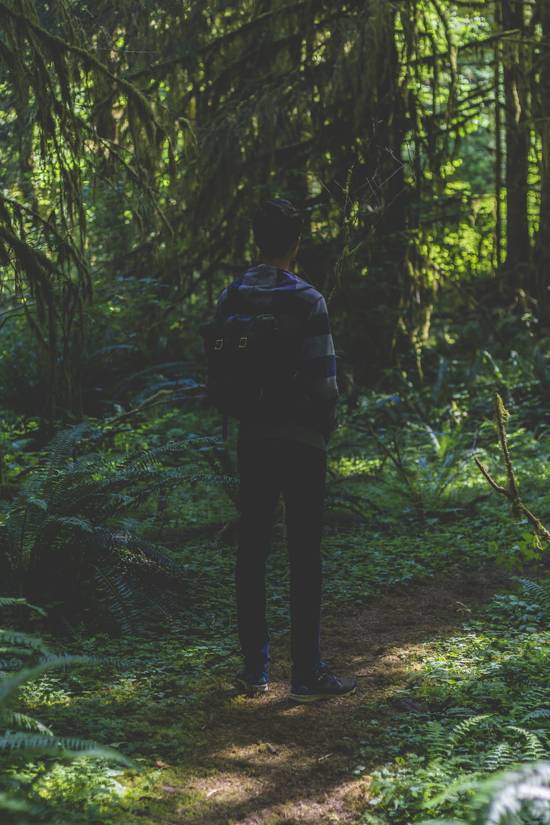 outdoors, standing, 5K, solemn, plant, growth, hoh, olympic, trip, trail, forest, sony, real people, beauty in nature, hoh rain forest visitor center