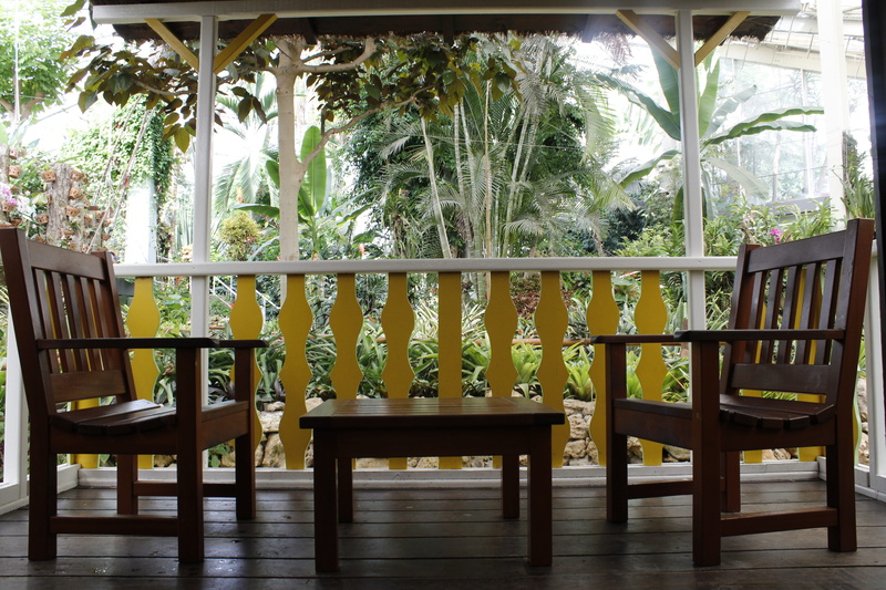 story time, date, railing, table, sit, france, empty, plant, wood - material, 5K, chair, light, flooring, furniture, porch, no people, tree, day, growth