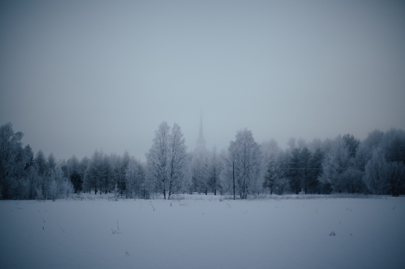 tranquil scene, cold temperature, landscape, trees, field, snowing, winter, sky, blanket, forests, tree, nature, day, solemn, fog, scenics - nature, 5K