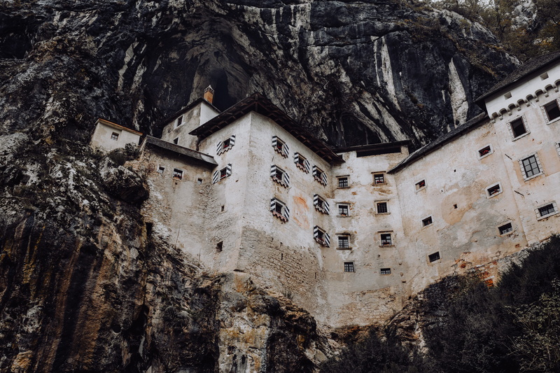 tree, low angle view, outdoors, predjama, history, castle, mysterious, trip, the past, plant, tourism, place of worship, 5K, slovenia, coast, Europe, travel destinations