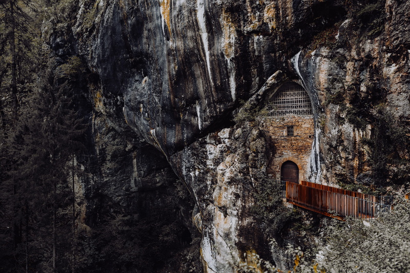 cave, mysterious, tree, castle, history, predjamski grad, cliff, ruined, tourism, arch, no people, the past, predjama, nature, 5K, postojna, built structure