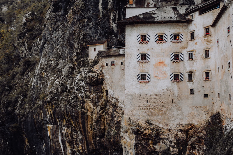 tree, no people, outdoors, 5K, nature, window, coast, mouth, old, slovenia, building, cave, postojna, architecture, wall - building feature, cliff, wall