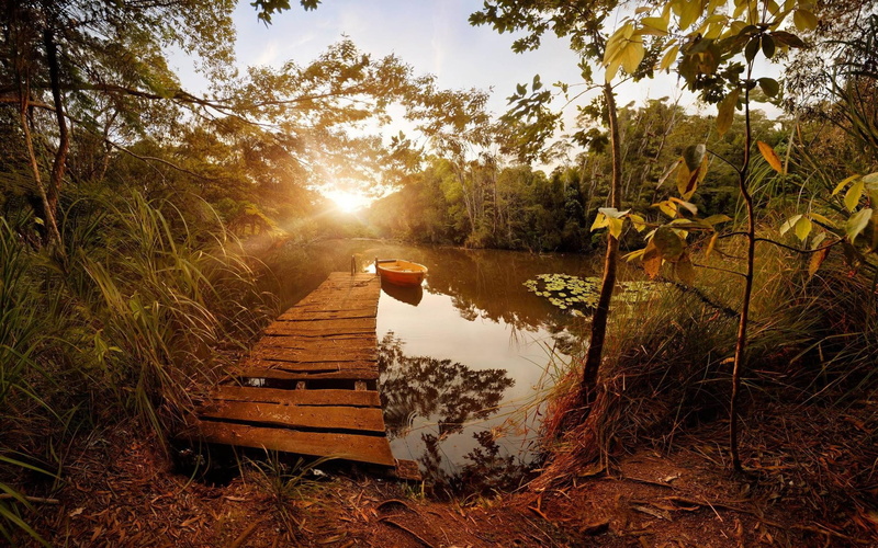 sunbeam, clinker, scenics - nature, 1080P, growth, tranquil scene, forest, no people, Possum Valley, sky, Australia, queensland, lens flare, beauty in nature