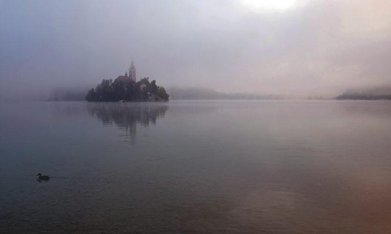 island, beauty in nature, tranquil scene, outdoors, built structure, morning, sky, tree, bled, mist, tranquility, architecture, water, travel destinations