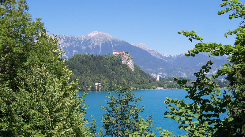 plant, environment, nature, scenics - nature, tree, outdoors, mountain peak, sky, tranquility, blue, land, 2K, day, slovenia, mountain range, clear sky