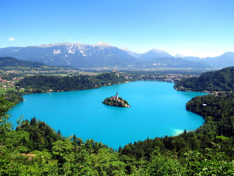 Earth, Castle, 720P, Island, Tree, Churches, Lake, Forest, Lake Bled, Green, Assumption of Mary Church