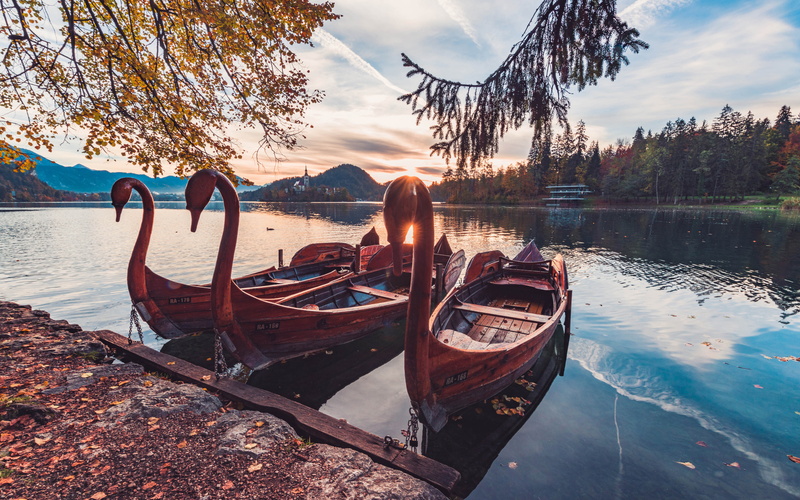 hd, boats, android, 5K, sun, swan, slovenia, lake, desktop, landscape, tablet, bled, phones, morning, autumn