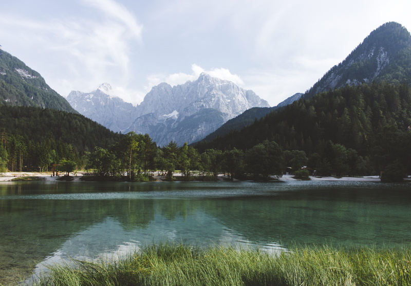 forest, tranquil scene, mountain peak, trees, mountain, day, slovenia, water, alps, sky, green, range, grass, 4K, tranquility, snowcapped mountain, growth